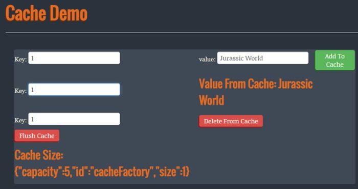 cache demo